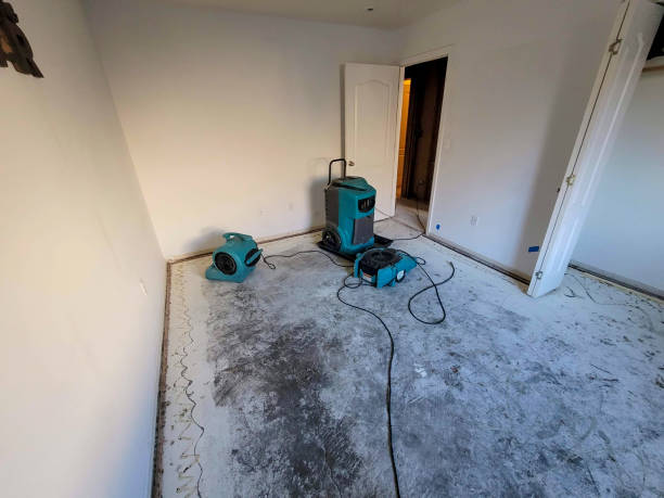 Best Local water damage restoration  in Hoquiam, WA