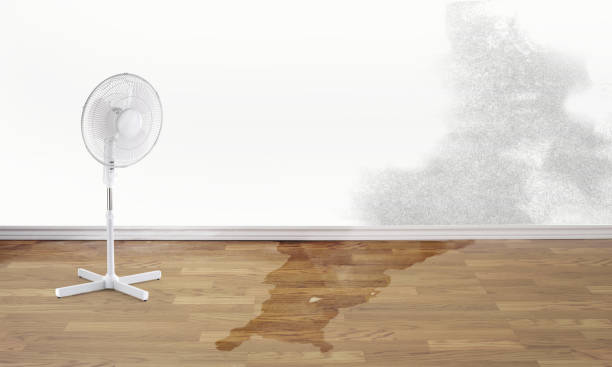 Reliable Hoquiam, WA Water damage restoration Solutions