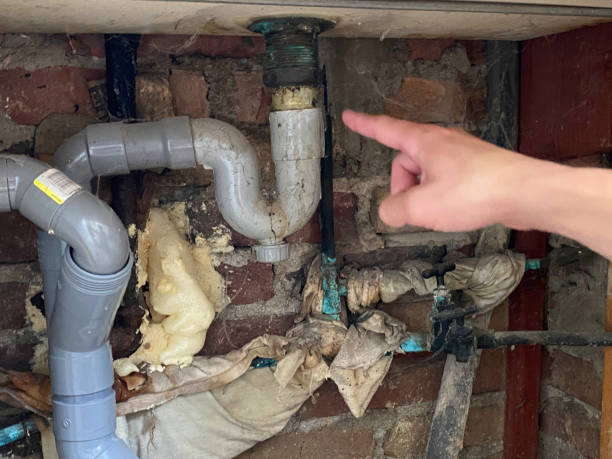Best Water damage restoration near me  in Hoquiam, WA